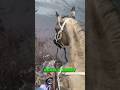 Come Camping With The Horses! Day 2 Pt.6 I Love This Place