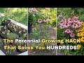 The Perennial Growing HACK That Saves You HUNDREDS! Start These 10 Flowers NOW!