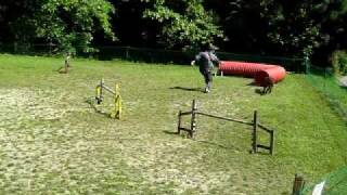 20100602-01.avi