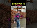 急に話しかけられるとこうなるw