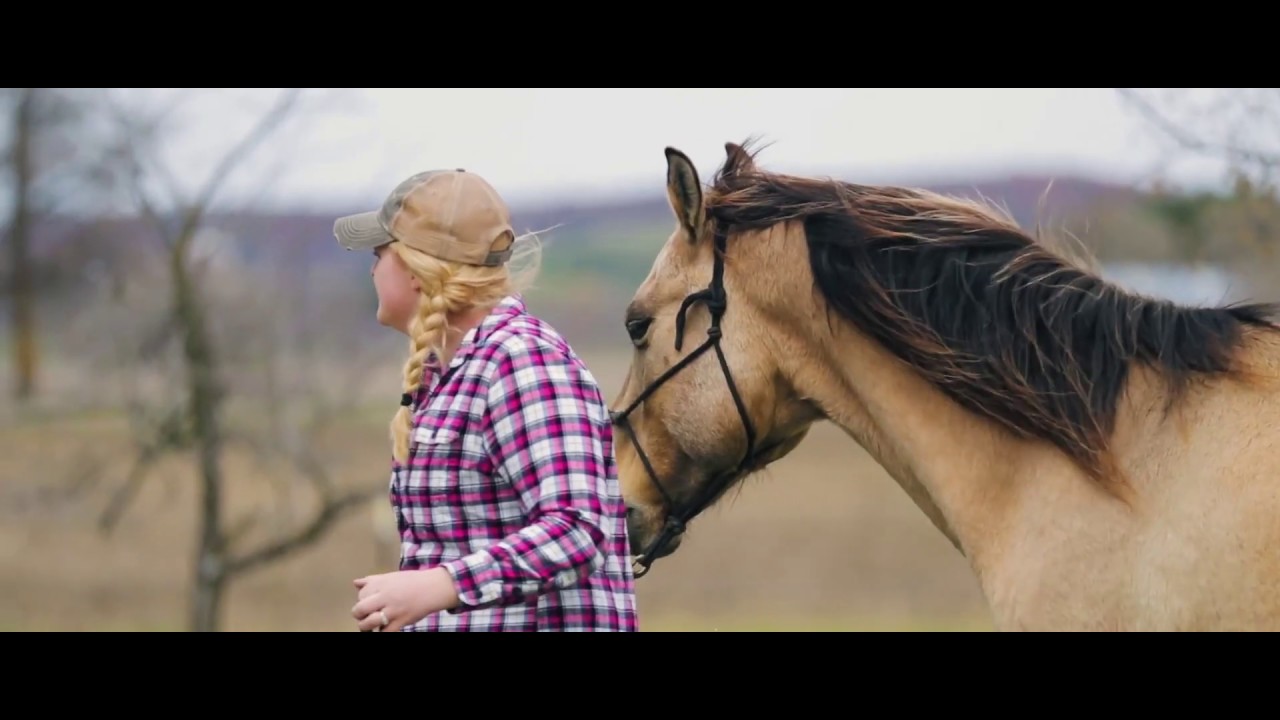 Horse Rescue Heroes - Trailer - YouTube