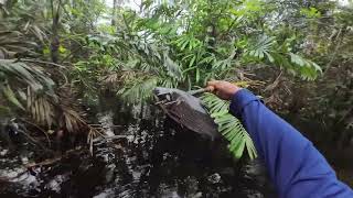 Pesca ribeirinha com arco e flecha na friagem. AMAZONAS