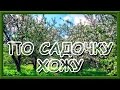 Українські народні пісні слухати. По садочку хожу