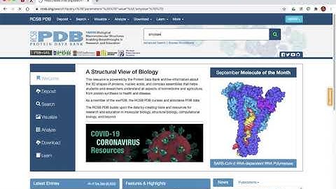 How to download pdb file from RCSB