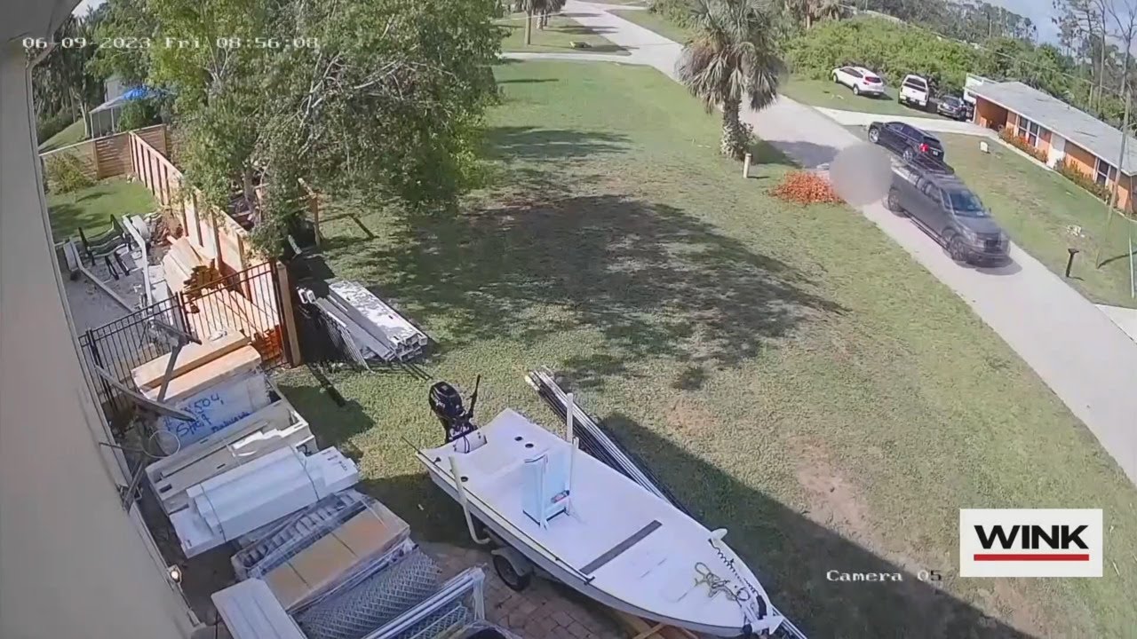 Charlotte County Animal Control investigating dog dragged on Durant Street YouTube