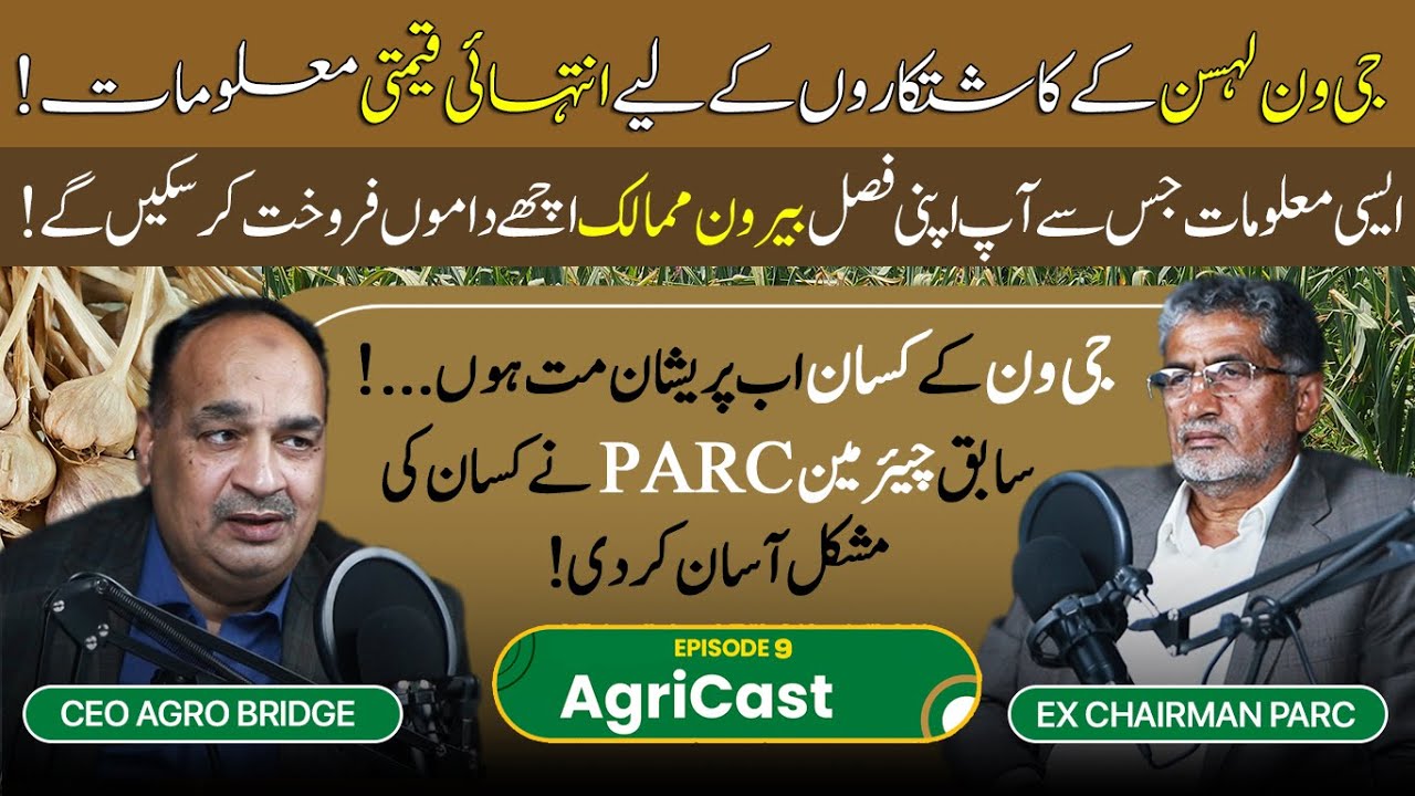 Right Time to Harvest G1 Garlic | AgriCast Ep 9 | Reality of NARC G1 Garlic in 2024 | Honest Podcast