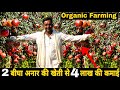 अनार की खेती की पूरी जानकारी । Pomegranate Farming। Anar Ki Kheti Successful Farmer