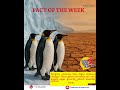 Small colonies, big impact  how penguins are quietly helping to cool our planet.#FactOfTheWeek