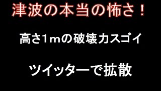 高さ1mの津波の怖さ！破壊力がツイッタ－で拡散