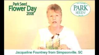 Park Seed Flower Day 2008: Jacqueline Founteney
