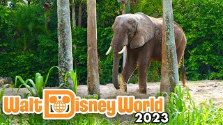 Kilimanjaro Safaris 2023 - Disney's Animal Kingdom Rides [4K POV]