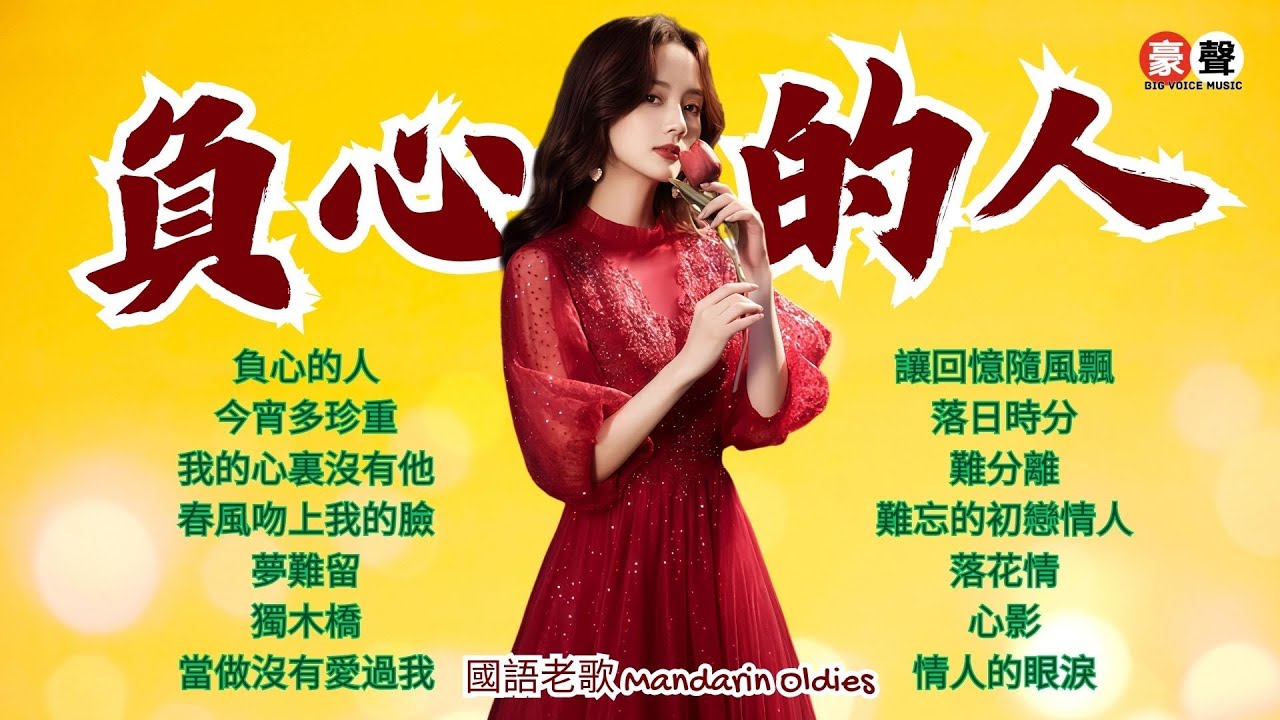 【國語老歌】負心的人丨今宵多珍重丨我的心裏沒有他丨春風吻上我的臉丨夢難留丨獨木橋丨當做沒有愛過我丨讓回憶隨風飄丨落日時分丨難分離丨情人的眼淚  Mandarin Oldies (歌詞版)