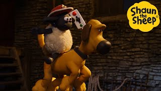 Shaun The Sheep 🐑 Bitzer The Riding Dog - Cartoons For Kids 🐑 Full Episodes Compilation [1 Hour]