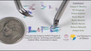 3.5mm robotic forceps with 4 DOF for Minimally Invasive Surgery