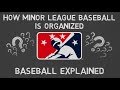 Comment est organise la ligue mineure de baseball  le baseball expliqu