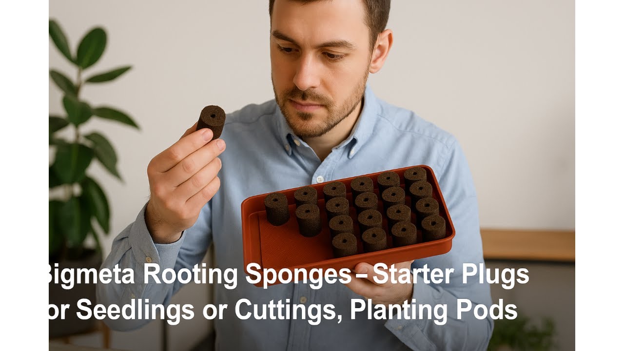 🌱 Bigmeta Rooting Sponges - Starter Plugs for Seedlings or Cuttings, Planting Pods Review 🌱