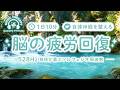 【528Hz・脳疲労回復】ソルフェジオ周波数を用いた自律神経を整える音楽。睡眠導入、ストレス緩和、疲労回復　＃脳の疲れを取る音楽＃自律神経を整える音楽　＃ソルフェジオ周波数