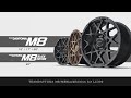 RAYS | TEAM DAYTONA | M8 & M8 BLACK EDITION