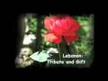 Lebanon: Tribute and Gift
