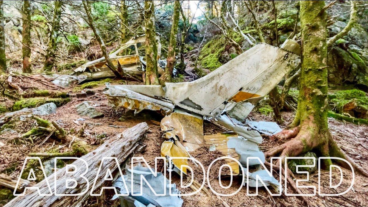 Mount Mitchell Plane Crash Hike & Guide Blue Ridge Parkway Hike