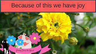 Joyful Acrostic 1