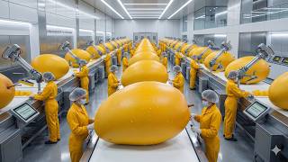 From Farm to Pack: The Complete Mango Slice Production Process