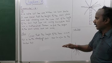 EXERCISE 3.1 | Q. NO.12 | THEORY OF EQUATIONS | CHAPTER 3 | 12 MATHS