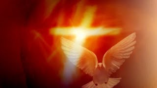 Part 3.The Tremendous Victory In The Love Divine.Pastor Assery Ulomi_February 22, 2026