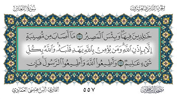 سورة التغابن القارئ أنس العمادي