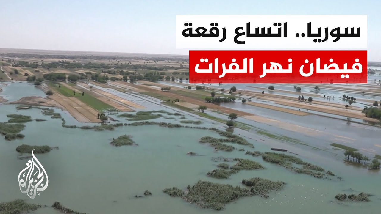 �����.. ����� �� ������ ���� ������� �������� ����� ���������
 - نشر قبل 8 دقيقة