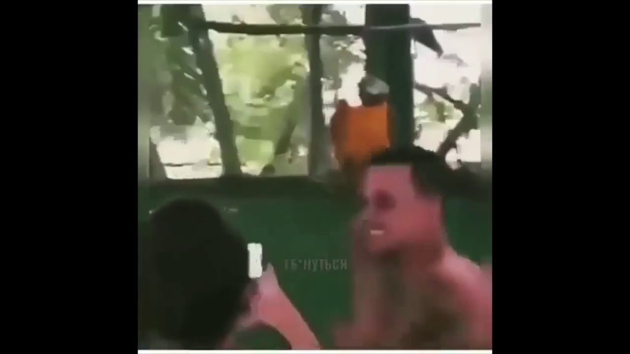 videomemes смешные видеоролики мемы