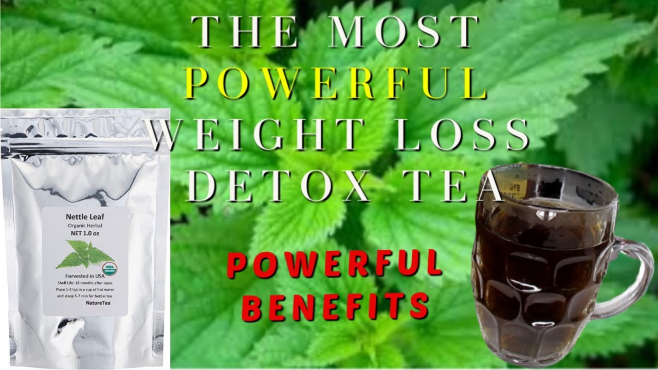 THE MOST POWERFUL TEA FOR WEIGHT LOSS THE BENEFITS & RECIPE NETTLE