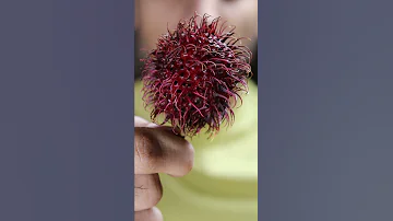 My First Time Trying Rambutan