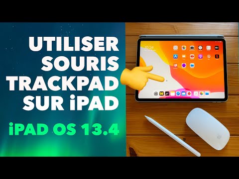 Utiliser une souris (Magic Mouse) ou un trackpad (Magic Trackpad) sur iPadOS 13.4 - iOS 13.4