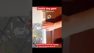 Modular Front Door Dog Gate