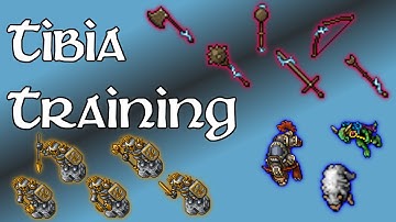 Tibia - Training (2024)