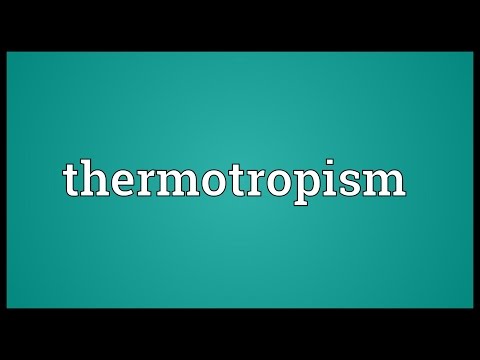 Header of thermotropism