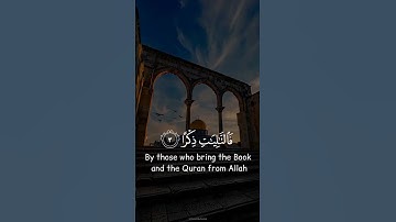 القارئ : ابوبكر الشاطري #explore #القرآن_الكريم #quran #قرآن
