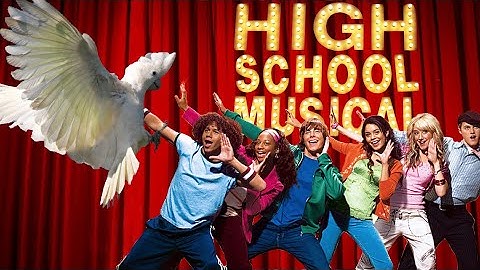 "Wszyscy jesteśmy w tym razem" z High School Musical w wykonaniu śpiewającej i tańczącej kakaduAsher