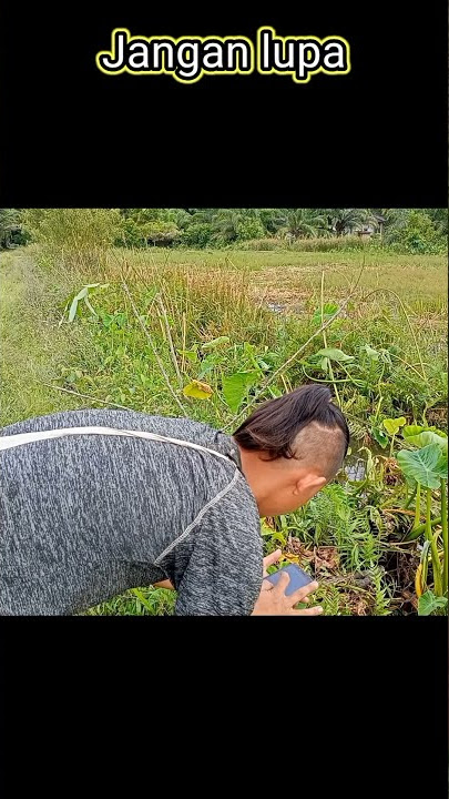 mikat burung ciblek dengan MP3 langsung dapat dua poin