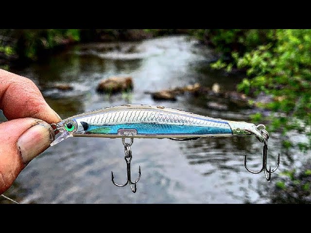 JERK bait fishing for trout in a TINY creek!(SPOILER.IT WORKS