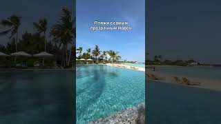 Пляжи с самым прозрачным морем в комментариях