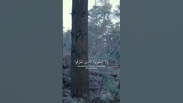 سورة آل عمران [104-105]