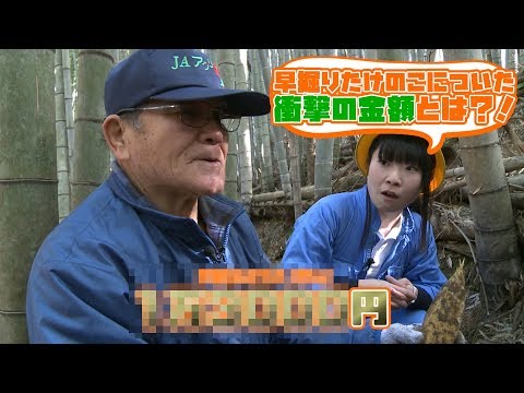 たけのこが○万円？！早掘りたけのこの魅力をも～っと深堀り