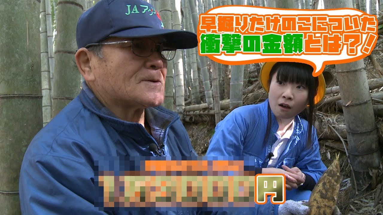 たけのこが○万円？！早掘りたけのこの魅力をも～っと深堀り