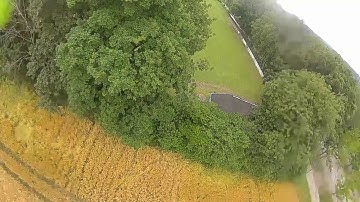 Twig Mutant 4 - Freestyler Maiden