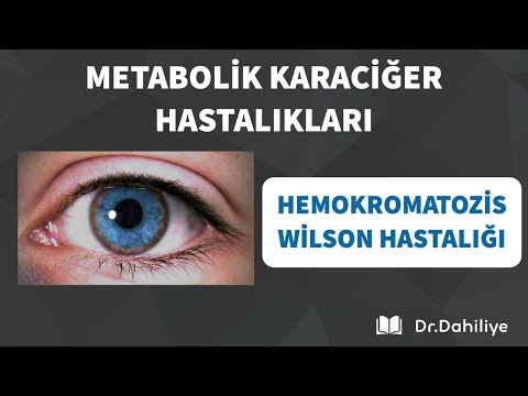 Video: Enzim katalizli bir reaksiyonun hızını nasıl ölçersiniz?