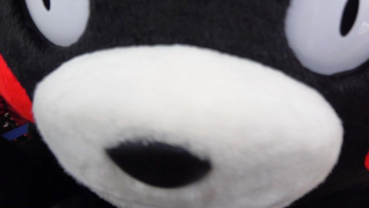 來去熊本熊廣場，看熊本熊部長上班 Come and go to Kumamon Plaza and watch Minister Kumamon at work