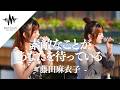 【涙腺崩壊】双子2人の歌声が心地良すぎてマジで感動しました!! 素敵なことがあなたを待っている / 藤田麻衣子 （Covered By しおんとかのん）