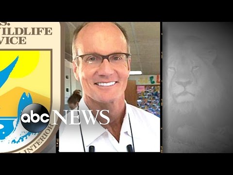 Is the Minnesota Dentist Who Killed Beloved Lion in Hiding?